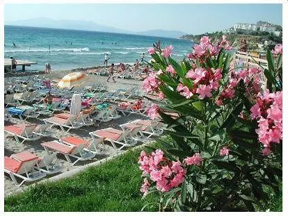 Rosy Oda ve Kahvaltı 2*
